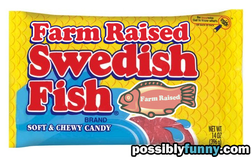 farm raised swedish fish